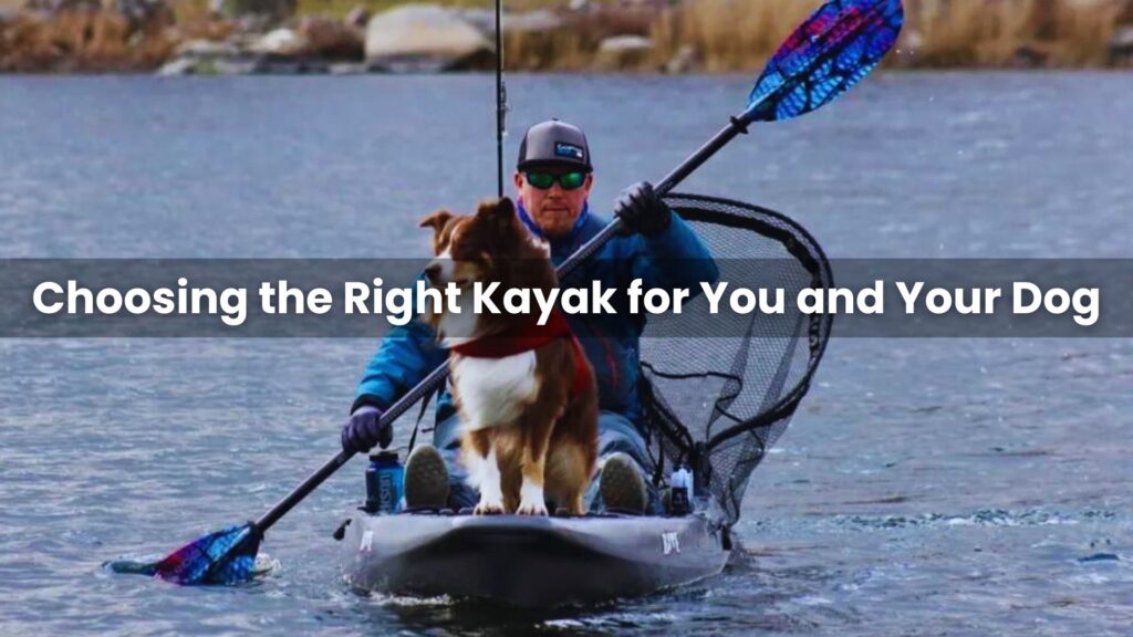 Choosing the Right Kayak for You and Your Dog