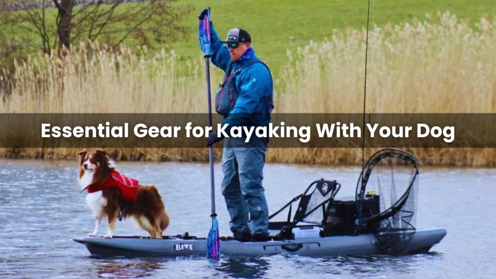 Essential Gear for Kayaking With Your Dog