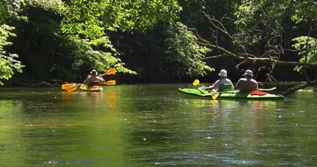 Is Kayaking Allowed on Sloan Lake