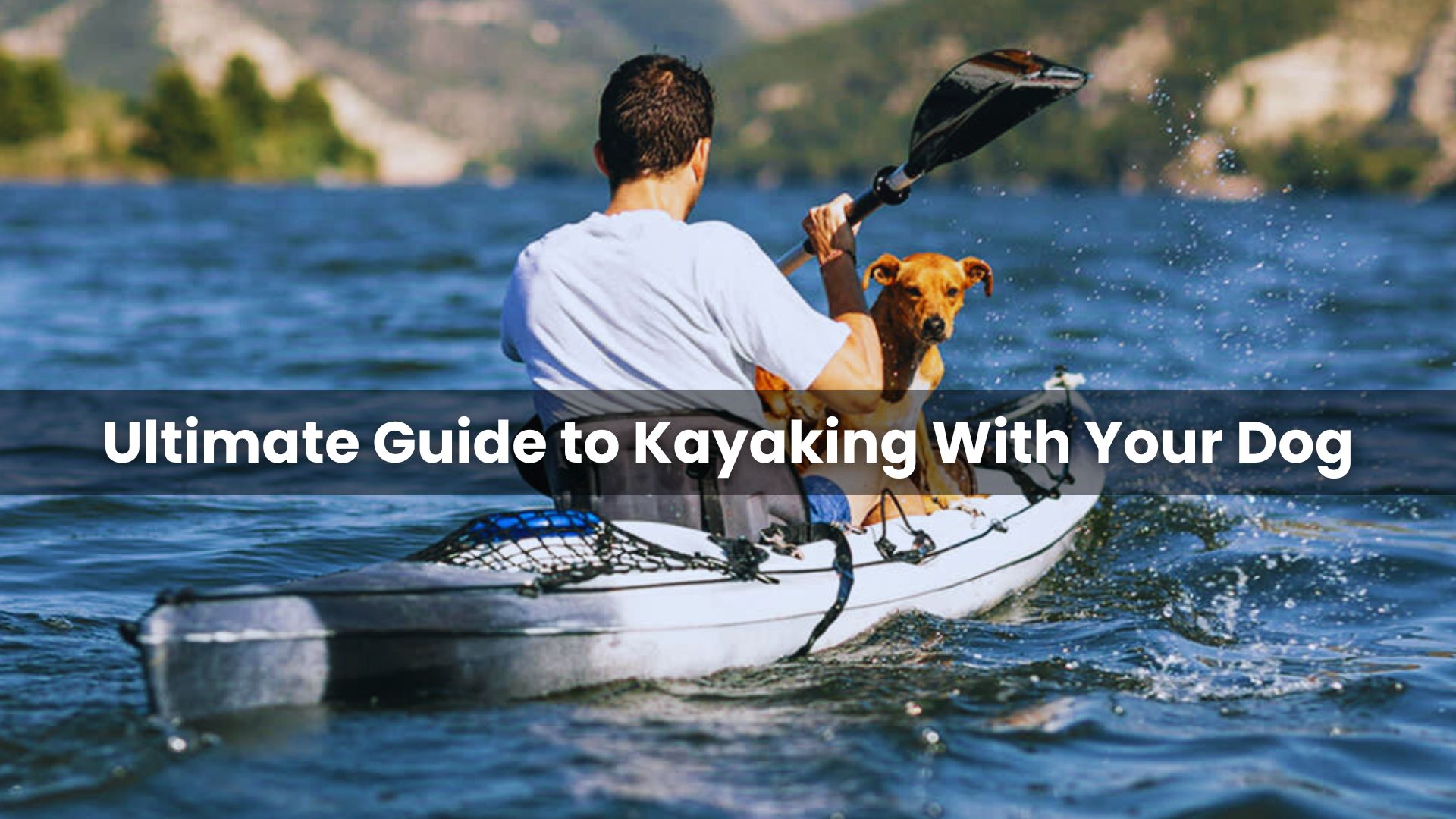 Kayaking With Your Dog