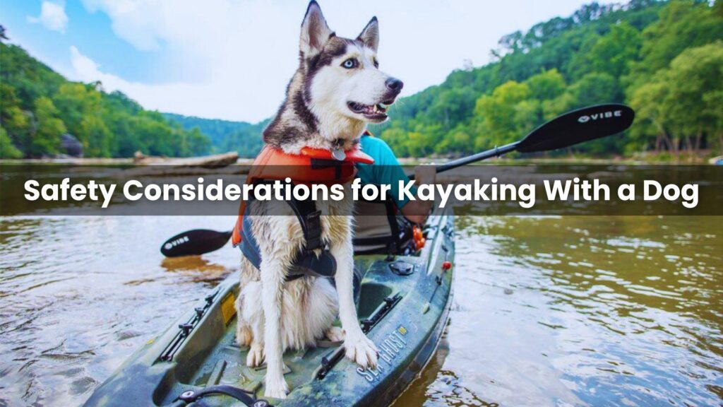 Kayaking With a Dog